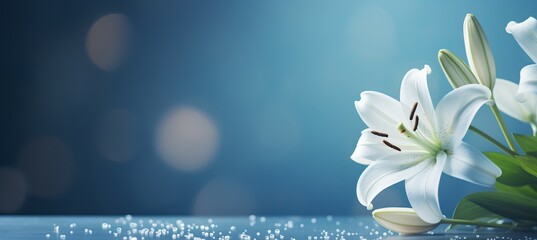 White lily blossom on right side with magical bokeh background, two thirds text space on left