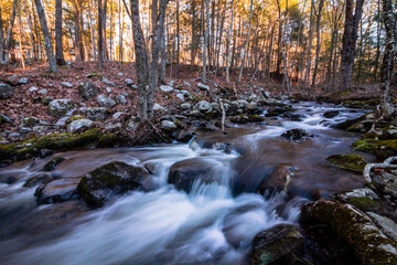 Stokes State Forest in Sussex County, NJ, Flatbrook runs along the Blue Mountain Trail in on a late afternoon in early winter