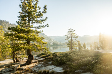 Morning Light Over Lake Vernon in Yosemite - obrazy, fototapety, plakaty