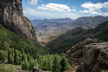 Garajonay, La Gomera, landscapes of La Gomera, mountain in La Gomera