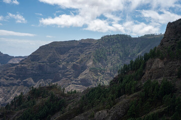 Obraz premium Garajonay, La Gomera, landscapes of La Gomera, mountain in La Gomera