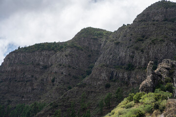 Fototapeta na wymiar Garajonay, La Gomera, landscapes of La Gomera, mountain in La Gomera