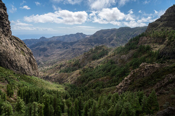 Fototapeta na wymiar Garajonay, La Gomera, landscapes of La Gomera, mountain in La Gomera