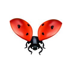 vector ladybugs with red and black spots