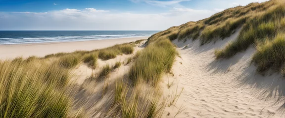 Fototapeten Sand Dune, Beach, and Ocean Views on the North Sea © SR07XC3