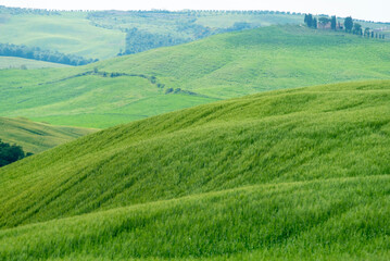 Rolling Hills of Tuscany - Italy