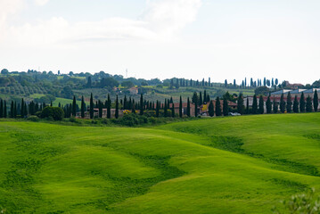 Rolling Hills of Tuscany - Italy