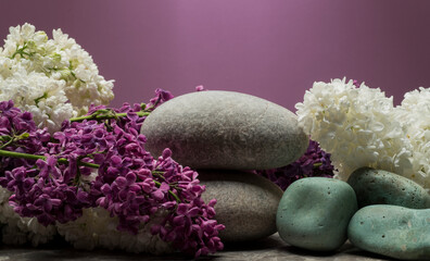 stones and plants for the podium. natural stones with plants and flowers for the presentation of cosmetics, perfumery, jewelry, medicine products