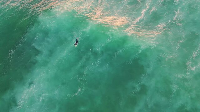 Aerial surfer swimming ocean summer weekend. Top shot surfboarder lying wave