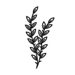 Vector botanical leaf doodle wildflower line art