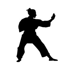 Fototapeta na wymiar Silhouette of a slim female doing martial art pose. Silhouette of a martial art woman in action pose.