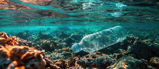 Plastic bottle floats in morning water column, Red Sea, Egypt.