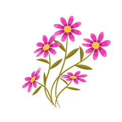 vector flat detailed spring flower collection