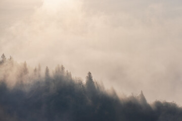Morning fog burning off in the Blue Ridge Mountains.