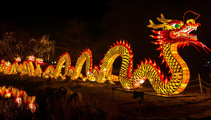 Dragons and lights are all lit up at night in the park