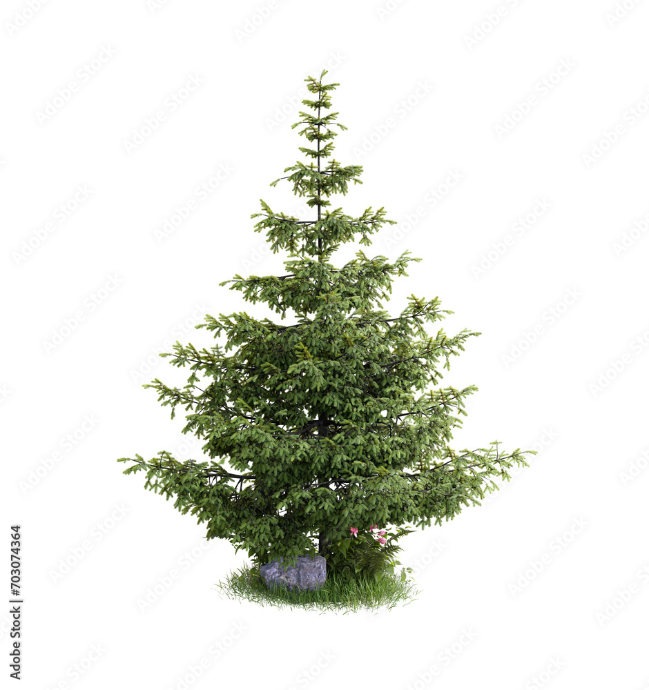 Poster tree standing on grass fields scene isolate transparent background.3d rendering png