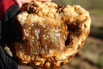 Raw unprocessed agate in hand, searching for stones and minerals