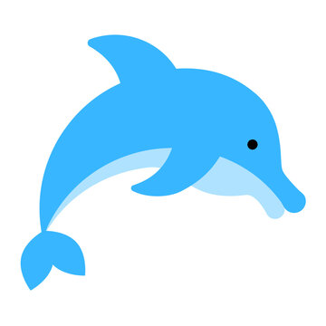 Dolphin Icon Design Vector