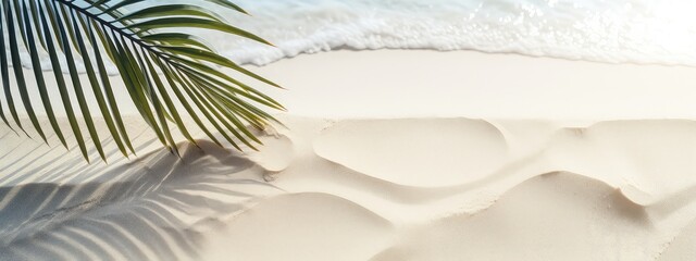 palm leaf shadow on abstract white sand beach background, sun lights at water surface, beautiful abstract background concept banner for summer and vacation at the beach - Powered by Adobe