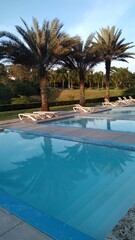 swimming pools with palm trees around on a sunny summer day