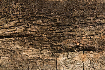 close up view of a old wooden surface