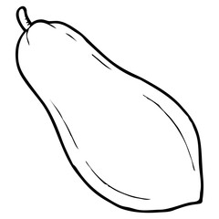 papaya line vector illustration