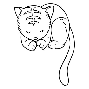 kitten line vector illustration