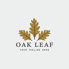 Fototapeta na wymiar oak leaf logo vintage vector illustration template icon graphic design