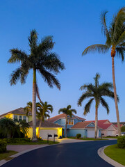 Fototapeta premium South Florida Residential street with houses