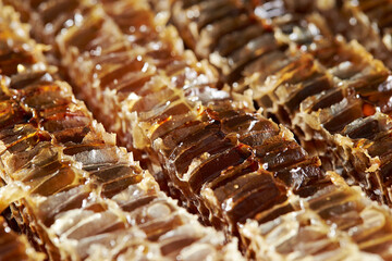 honeycomb honey on plate	