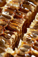 Honey in honeycomb, organic food ingredients	