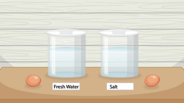 Egg Buoyancy Experiment Animation