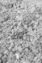 Black and white watercolor texture