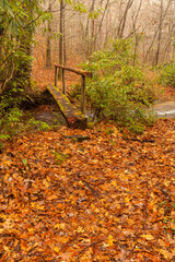 Fototapeta premium Footbridge on Mingus Creek Cemetery Trail in the Great Smoky Mountains National Park