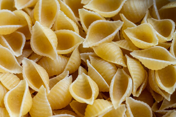 pasta shells close up