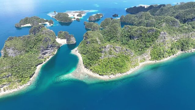 Rugged, limestone islands, fringed by reefs, rise from the scenic seascape in Raja Ampat, Indonesia. These islands' coral reefs, and the surrounding seas, support extraordinary marine biodiversity.
