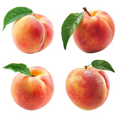 Peach isolated on a white background. png collection