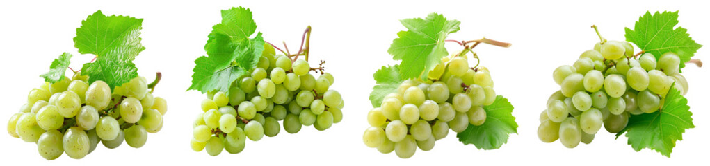 a collection of green grapes isolated on a transparent background - obrazy, fototapety, plakaty