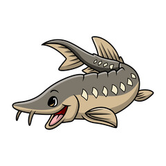 Cute sturgeon fish cartoon on white background