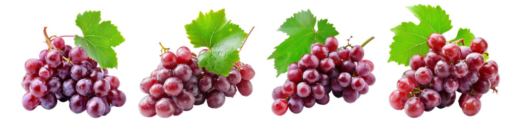 Bunch of red grapes collection. PNG image - obrazy, fototapety, plakaty