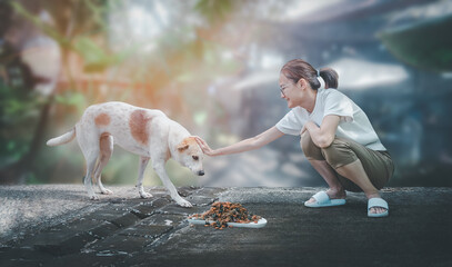 A woman sitting feeding stray dogs - obrazy, fototapety, plakaty