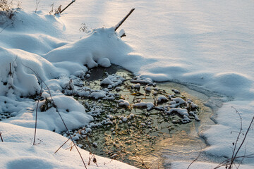 A polynya on the shore of a frozen reservoir where a spring emerges