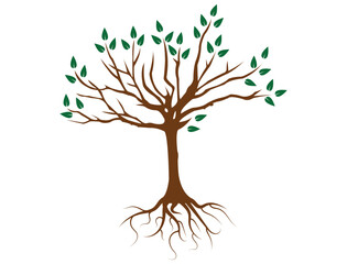 Trees with green leaves look beautiful and refreshing.Tree and roots logo style.
