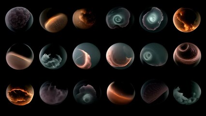 A collage of photographs the intricate details of the developing embryo, each image highlighting a unique milestone in its growth and showcasing the beauty of new life.