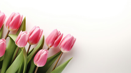 A bouquet of pink tulips with green leaves arranged neatly against a pure white background, symbolizing spring.