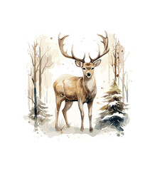 Deer watercolor Winter Forest Illustration ,Watercolor painting white background forest deer