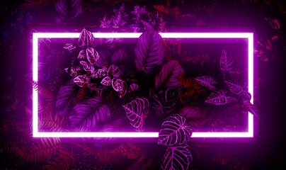 dark pink neon light and tropical leaves background and rectangle frame with horizontal banner.