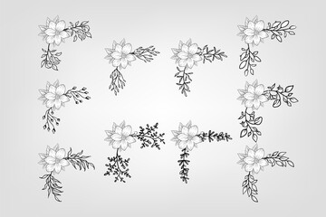 Set botanic blossom floral elements Decorative for Invitation