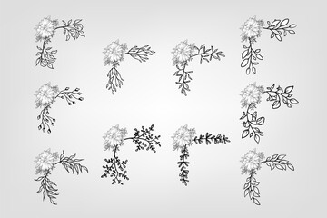 Set botanic blossom floral elements Decorative for Invitation