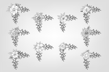 Set botanic blossom floral elements Decorative for Invitation